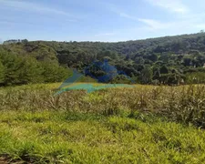 Fazenda / Sítio / Chácara com 4 Quartos à venda, 288000m² no Centro, São Roque - Foto 46