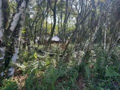 Terreno / Lote / Condomínio à venda, 1200m² no Parque das Hortênsias, Canela - Foto 6