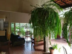 Fazenda / Sítio / Chácara à venda, 800m² no , Altos - Foto 17