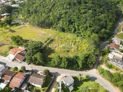 Terreno / Lote / Condomínio à venda, 37008m² no Nova Esperança, Blumenau - Foto 14