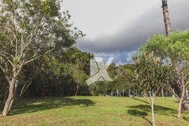 Fazenda / Sítio / Chácara com 2 Quartos à venda, 16680m² no Chacrinha Nossa Senhora do Rocio, Campo Largo - Foto 8