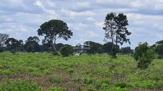 Fazenda / Sítio / Chácara com 2 Quartos à venda, 54250000m² no Zona Rural, Buritizeiro - Foto 13