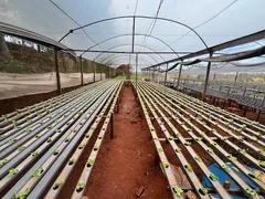 Fazenda / Sítio / Chácara com 2 Quartos à venda, 100m² no , Mandaguaçu - Foto 12