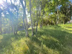 Terreno / Lote / Condomínio à venda, 984m² no Vale dos Vinhedos, Bento Gonçalves - Foto 7