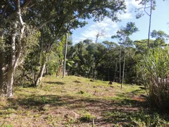 Terreno / Lote / Condomínio à venda, 20000m² no Areias de Macacu, Garopaba - Foto 9