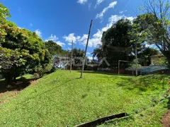 Fazenda / Sítio / Chácara com 3 Quartos à venda, 5999m² no Parque Itaipu, São Carlos - Foto 9