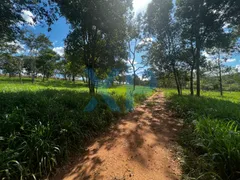 Fazenda / Sítio / Chácara com 3 Quartos à venda, 300m² no Zona Rural, São Sebastião do Oeste - Foto 8