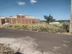 Terreno / Lote / Condomínio à venda, 250m² no Milenium, Araguari - Foto 1