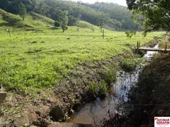 Fazenda / Sítio / Chácara com 2 Quartos à venda, 12m² no Oliveiras, Tijucas - Foto 2