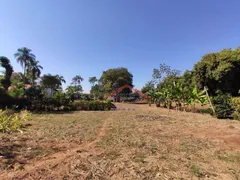 Fazenda / Sítio / Chácara com 8 Quartos à venda, 20000m² no Vila Guedes, Jaguariúna - Foto 32