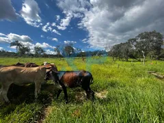 Fazenda / Sítio / Chácara com 3 Quartos à venda, 300m² no Zona Rural, São Sebastião do Oeste - Foto 18