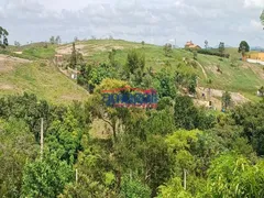 Fazenda / Sítio / Chácara com 3 Quartos à venda, 150m² no Veraneio Irajá, Jacareí - Foto 20