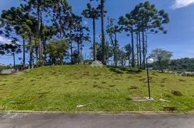 Terreno / Lote / Condomínio à venda, 368m² no JARDIM JOAO PAULO II, Colombo - Foto 1