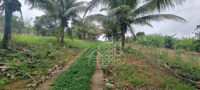 Fazenda / Sítio / Chácara com 4 Quartos à venda, 300m² no Boa Esperança, Rio Bonito - Foto 8