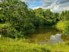 Fazenda / Sítio / Chácara com 3 Quartos à venda, 150m² no Zona Rural, Quadra - Foto 39