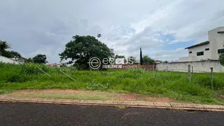 Terreno / Lote / Condomínio à venda, 600m² no Jardim Inconfidência, Uberlândia - Foto 3