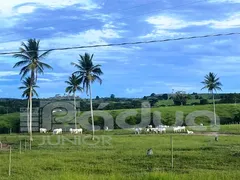 Fazenda / Sítio / Chácara com 3 Quartos à venda, 487000m² no Centro, Indiaroba - Foto 6