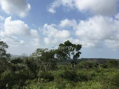 Terreno / Lote / Condomínio à venda, 8000m² no Piau, Tibau do Sul - Foto 7