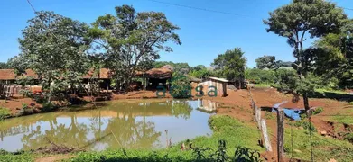 Fazenda / Sítio / Chácara à venda, 251500m² no Iguipora, Marechal Cândido Rondon - Foto 2