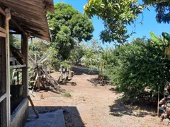 Fazenda / Sítio / Chácara com 2 Quartos à venda, 200m² no Marambaia, Caçapava - Foto 23