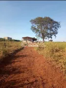 Fazenda / Sítio / Chácara com 3 Quartos à venda, 149m² no Zona Rural, Uberlândia - Foto 2