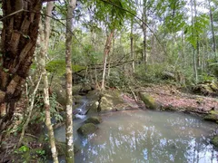 Fazenda / Sítio / Chácara com 1 Quarto à venda, 100m² no Ratones, Florianópolis - Foto 18