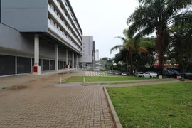 Loja / Salão / Ponto Comercial para alugar, 36m² no Estoril, Belo Horizonte - Foto 7