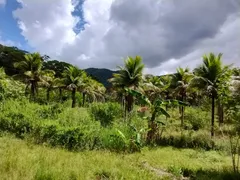 Fazenda / Sítio / Chácara com 4 Quartos à venda, 48000000m² no Rio da Areia Bacaxa, Saquarema - Foto 28