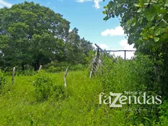 Fazenda / Sítio / Chácara com 10 Quartos à venda, 838m² no Zona Rural, Conceição do Tocantins - Foto 15