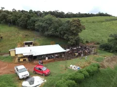 Fazenda / Sítio / Chácara com 6 Quartos à venda, 500m² no Centro, Antônio Carlos - Foto 7