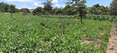 Fazenda / Sítio / Chácara com 3 Quartos à venda, 4500m² no Area Rural do Paranoa, Brasília - Foto 21