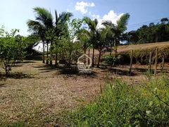 Terreno / Lote / Condomínio à venda, 870m² no Ilha da Figueira, Jaraguá do Sul - Foto 13