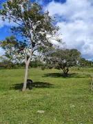 Fazenda / Sítio / Chácara com 3 Quartos à venda, 5000m² no Zona Rural, Monte Alegre - Foto 22