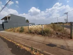 para alugar, 250m² no Jardim das Palmeiras, Uberlândia - Foto 2