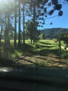 Fazenda / Sítio / Chácara com 2 Quartos à venda, 30000m² no Centro, Bocaina de Minas - Foto 8