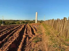 Fazenda / Sítio / Chácara com 4 Quartos à venda, 500m² no Reforma Agraria, Valinhos - Foto 10