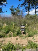 Terreno / Lote / Condomínio à venda, 1003m² no São Ciro, Caxias do Sul - Foto 8