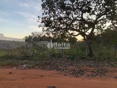 Fazenda / Sítio / Chácara à venda, 5000m² no Panorama, Uberlândia - Foto 11