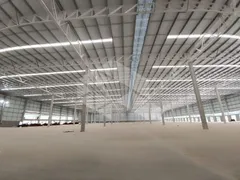 Conjunto Comercial / Sala para alugar, 8002m² no , Flores da Cunha - Foto 12