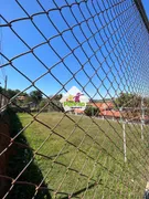 Fazenda / Sítio / Chácara com 4 Quartos à venda, 300m² no Cidade Recreio da Borda do Campo, Santo André - Foto 7