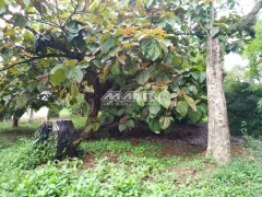 Fazenda / Sítio / Chácara com 1 Quarto à venda, 93m² no Country Club, Valinhos - Foto 27