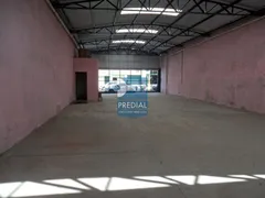 Galpão / Depósito / Armazém para alugar, 250m² no Vila Prado, São Carlos - Foto 3
