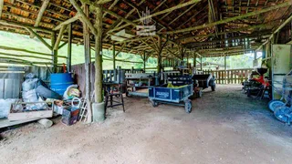 Fazenda / Sítio / Chácara com 3 Quartos à venda, 120000m² no Gaspar Grande, Gaspar - Foto 24