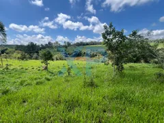 Fazenda / Sítio / Chácara com 2 Quartos à venda, 60m² no Zona Rural, São Sebastião do Oeste - Foto 33