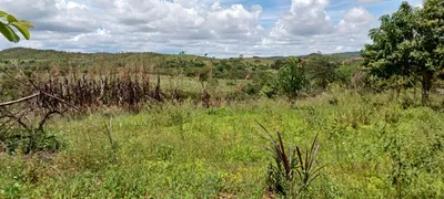 Fazenda / Sítio / Chácara com 4 Quartos à venda, 30000m² no Area Rural do Paranoa, Brasília - Foto 16