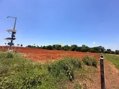 Fazenda / Sítio / Chácara à venda, 2000m² no Rural, Nova Granada - Foto 47