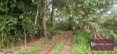 Fazenda / Sítio / Chácara com 3 Quartos à venda, 90m² no Zona Rural, José Bonifácio - Foto 60