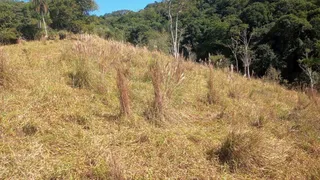 Fazenda / Sítio / Chácara à venda, 193600m² no Centro, São Miguel Arcanjo - Foto 17