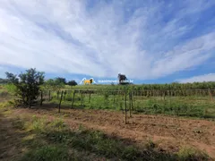Fazenda / Sítio / Chácara com 1 Quarto à venda, 111000m² no Macuco, Valinhos - Foto 1
