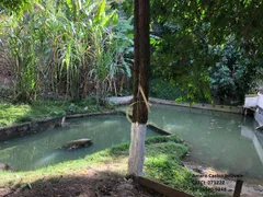 Fazenda / Sítio / Chácara com 3 Quartos à venda, 18000m² no Jardim Tropical, Nova Iguaçu - Foto 16